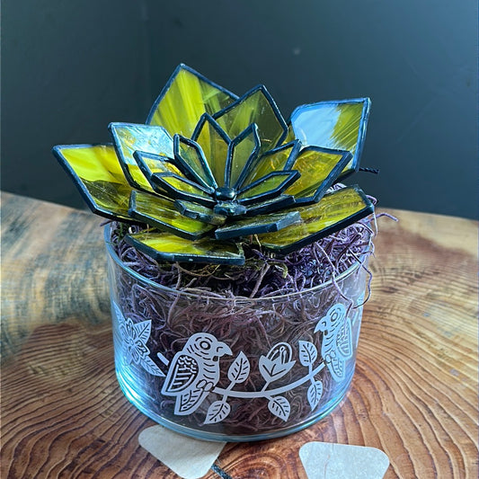 Yellow glass succulent in glass planter